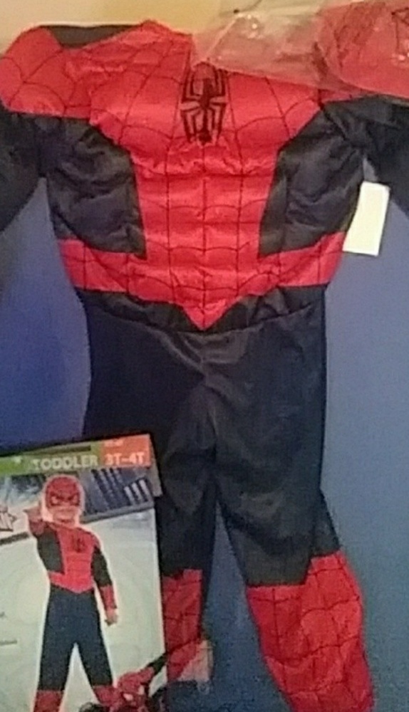 Spiderman costume